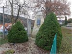 20201120_131056