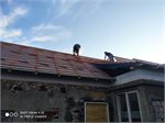 Hrusky 2021-07-28 at 17.02.52(3)