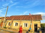 Hrusky 2021-07-28 at 17.02.54(1)