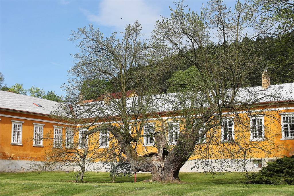 Zámecký park / duben 2014